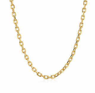 Chunky Link Chain