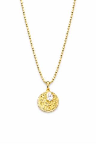 Large Zodiac Necklace