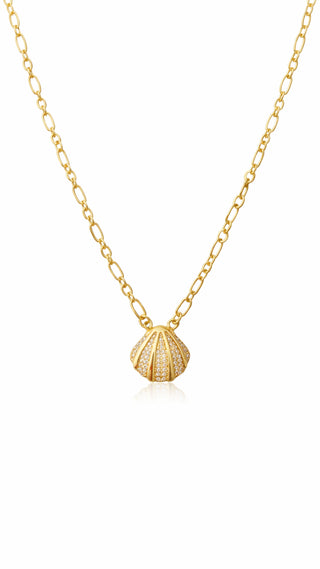 Mini Seashell Necklace