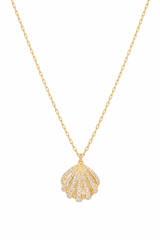 Claire Seashell Necklace